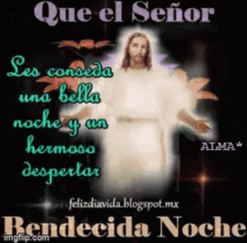 Bendecida Noche GIF
