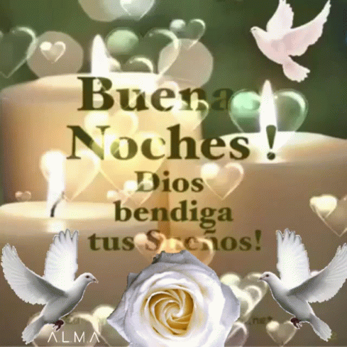 Bendecida Noche 498 X 498 Gif GIF