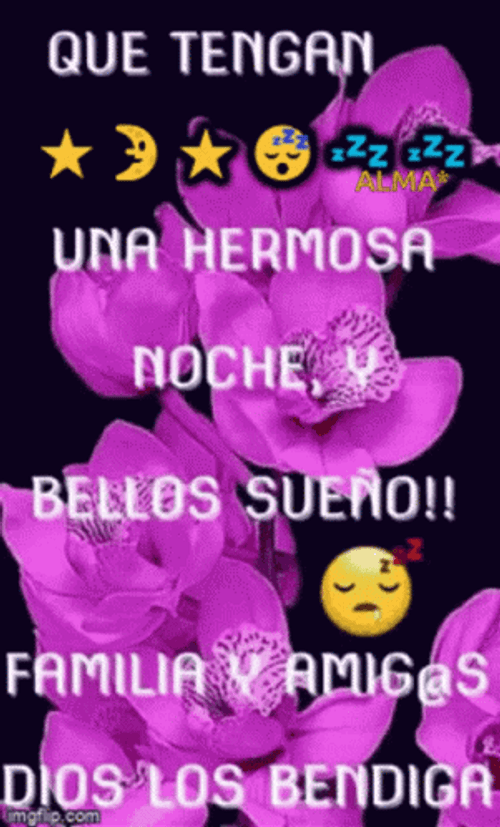 Bendecida Noche GIF