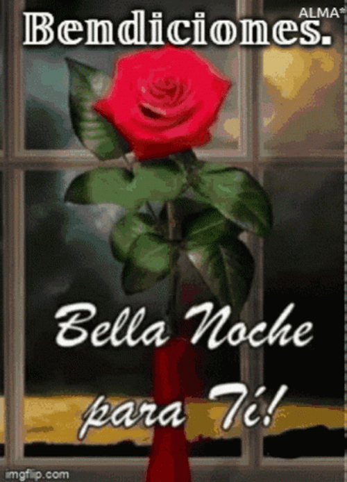 Bendecida Noche GIF