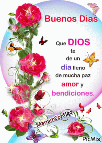Cute Butterflies Bendecido Dia GIF