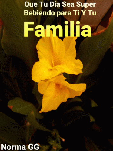 Bendecido Dia Familia Yellow Poppy GIF