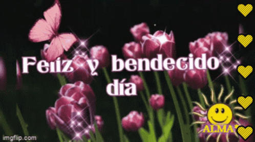 Feliz Bendecido Dia Beautiful Sunshine GIF