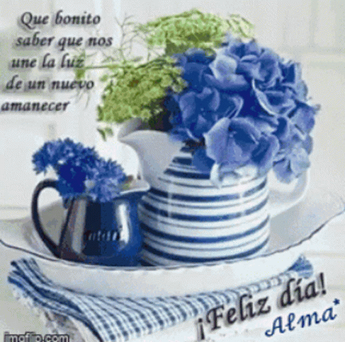 Bendecido Feliz Dia Image Compilation GIF