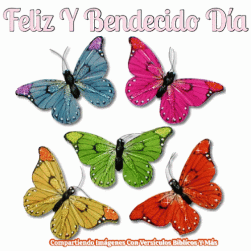 Bendecido Dia Glittery Butterflies GIF