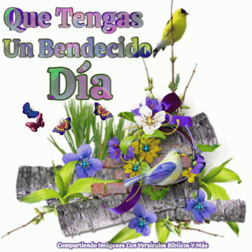 Que Tenga Bendecido Dia Purple Flowers GIF