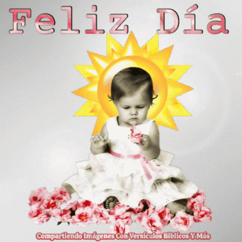 Bendecido Dia 498 X 498 Gif GIF