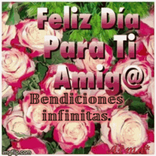 Bendecido Dia Red Roses Collection GIF