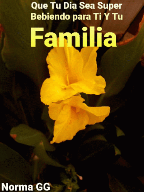 Bendecido Dia Familia Yellow Poppy GIF