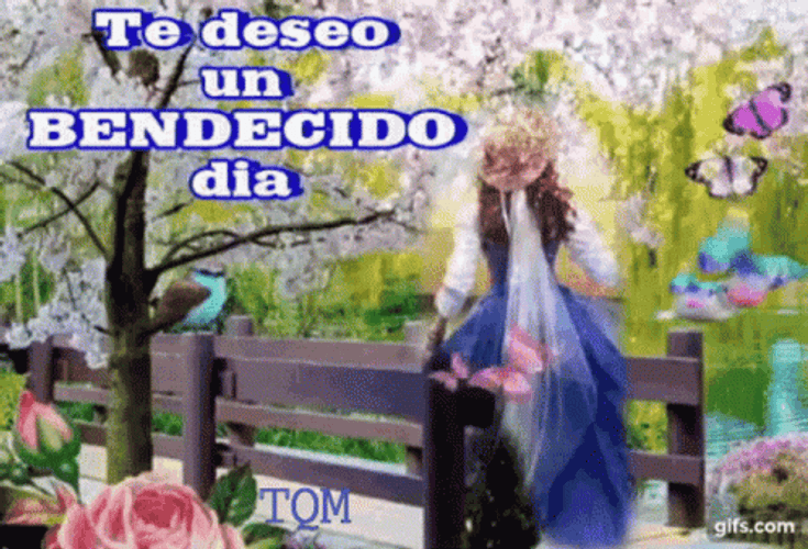 Bendecido Dia Soaring Butterflies GIF