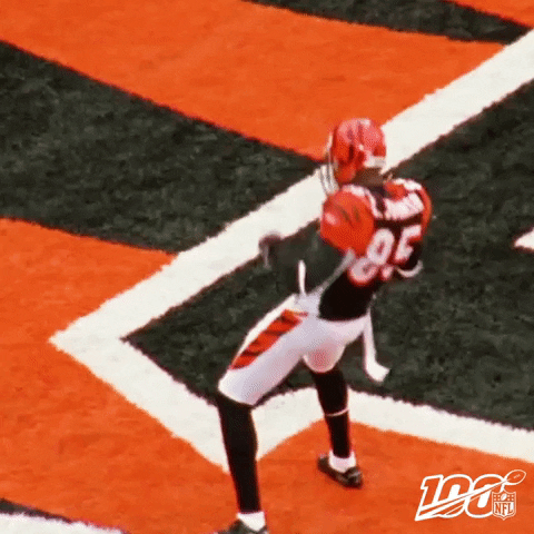 Bengals 480 X 480 Gif GIF