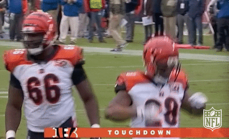 Bengals Touchdown Dance GIF