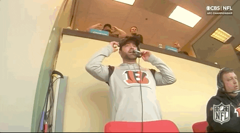 Bengals Who Dey Victory Solid Fan Reaction GIF