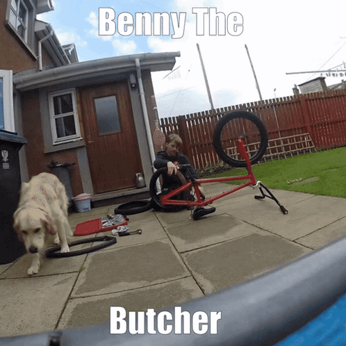 Benny the Butcher With Dog and Bicycle
