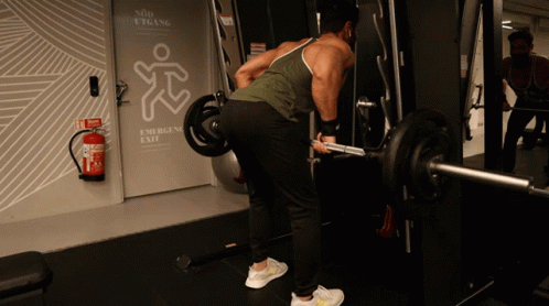 Bent Over From The Back Barbell Row View GIF