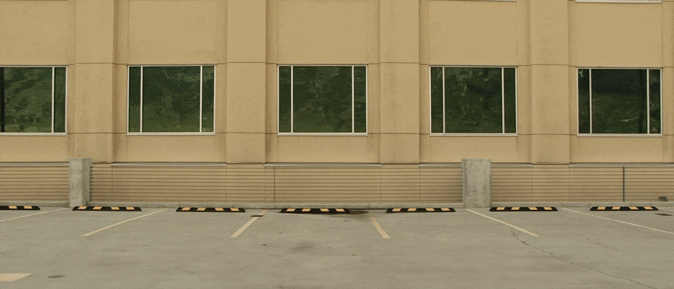 Bentley Chasing A Lady GIF