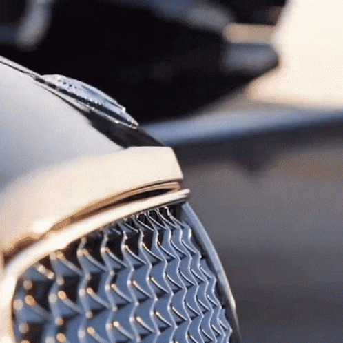 Bentley On Display GIF