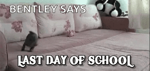 Bentley Says Happy Last Day Of School GIF