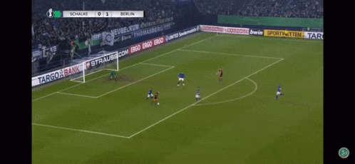 Berhalter Field View Game GIF