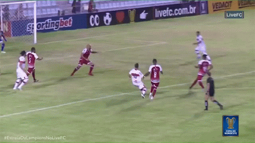 Berhalter Football Soccer GIF