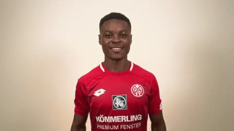 Berhalter Fsv Mainz GIF