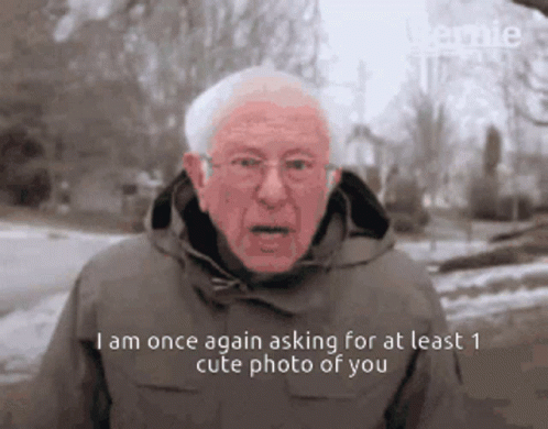 Bernie Sanders Asking For Cute Photo GIF