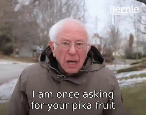 Bernie Sanders Asking For Pika Fruit GIF