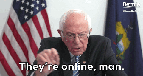 Bernie Sanders . Theyre Online Man GIF