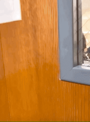 Bernie Sanders . What A Small World GIF