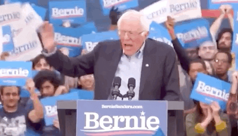 Bernie You Made Me Say It What An Idiot GIF