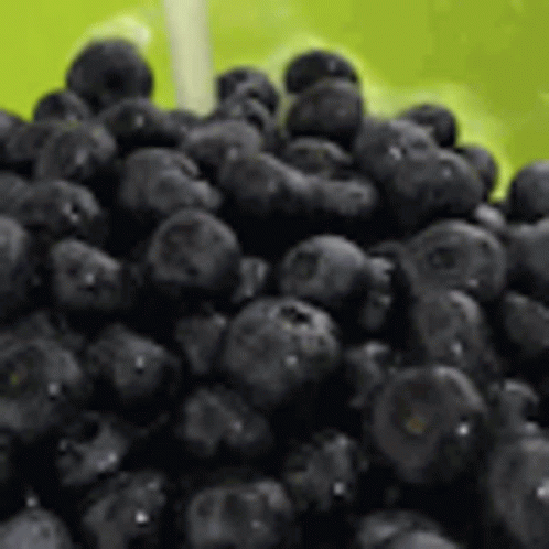 Berry Blueberry Washing Cleaning GIF
