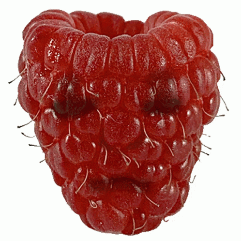 Berry In Awe Blushing GIF