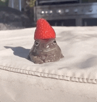 Berry Strawberry Frog's Head GIF