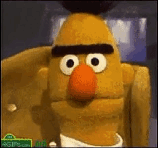 Bert Finding It Not Funny In Sesame Street GIF