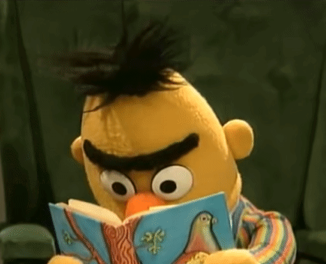 Bert From Sesame Street Is Reading A Book With A Bird On It . GIF
