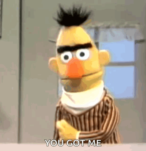 Bert From Sesame Street Is Standing In Front Of A Window And Says You Got Me . GIF