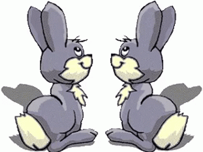 Besitos Funny Bunnies Couples GIF