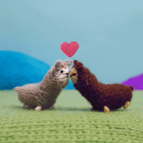 Besos De Novios GIF