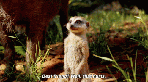 Best Friend Lion King Meme GIF