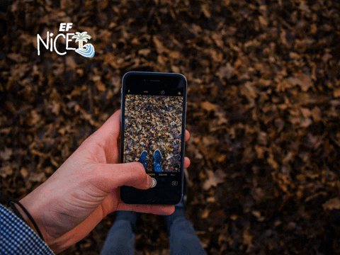 Best Smartphone Texting German Message GIF