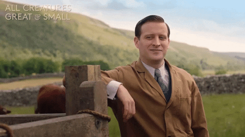 Best Team Ever Tristan Farnon Tv Character GIF