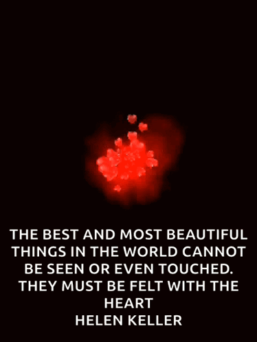 Best Things Cannot Be Seen Helen K