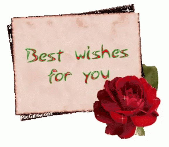 wishing you all the best images