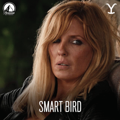 Beth Dutton Smart Bird Kelly Reilly GIF