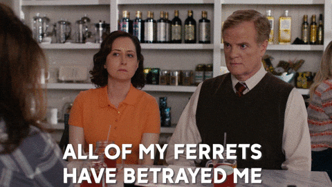 Betrayal Ferretts Have Betrayed Me GIF