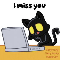 Bf Blact Cat Sticker GIF