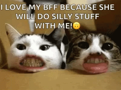 Bff Do Silly Stuff With Me GIF