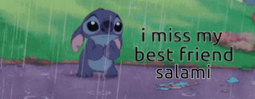 Bffr Miss My Best Friend Salami Stitch GIF
