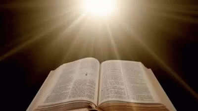 Bible Holy Light Rays Open Book GIF
