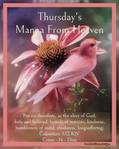 Bible Verse Colossian 3:12 Good Morning Blessings GIF